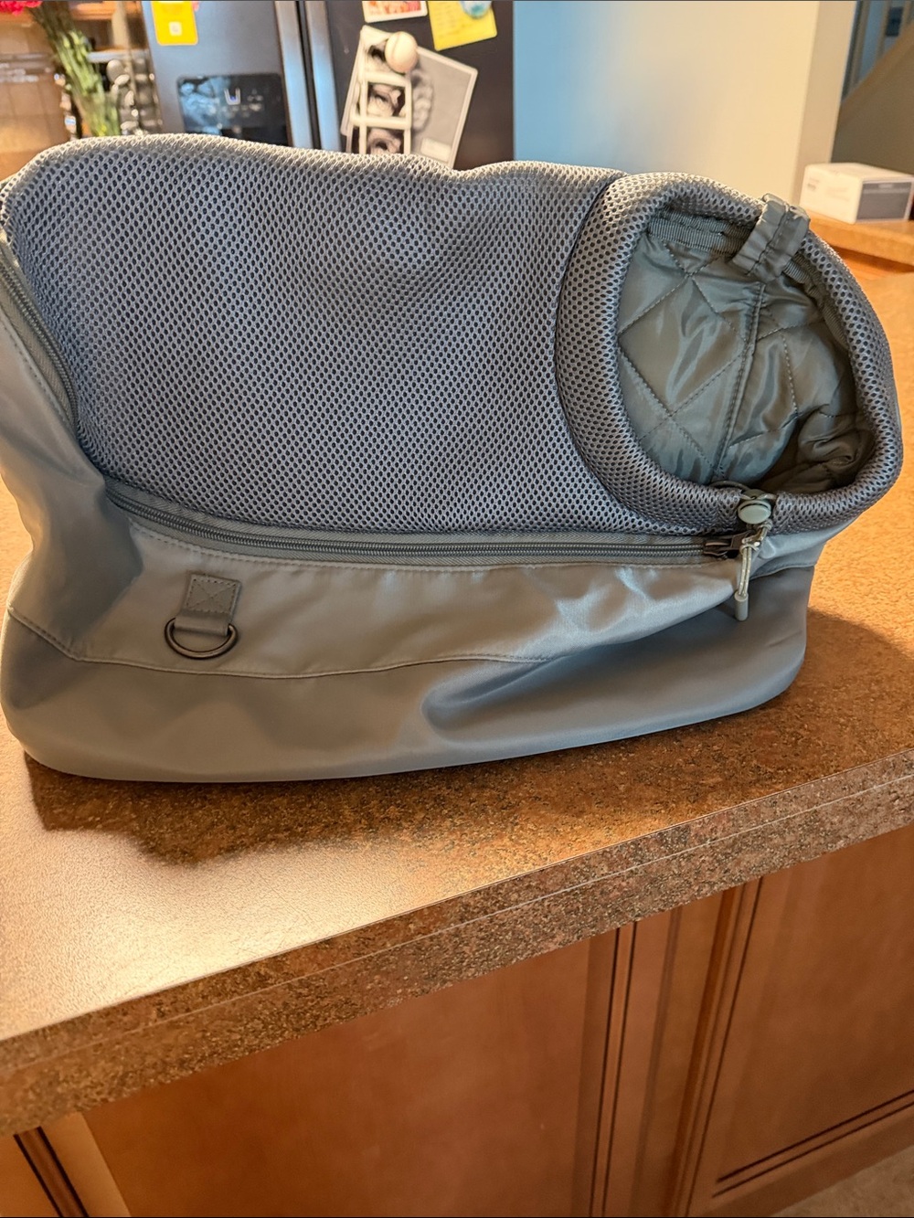 Dog carrier top paw